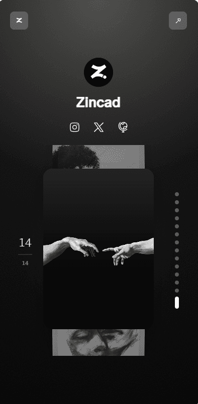 Zincad public profile preview